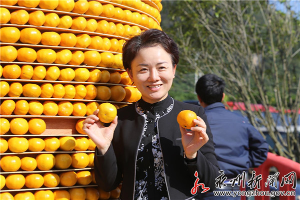 永州回龙圩柑橘文化旅游节开幕市委书记李晖再次为永州柑橘代言