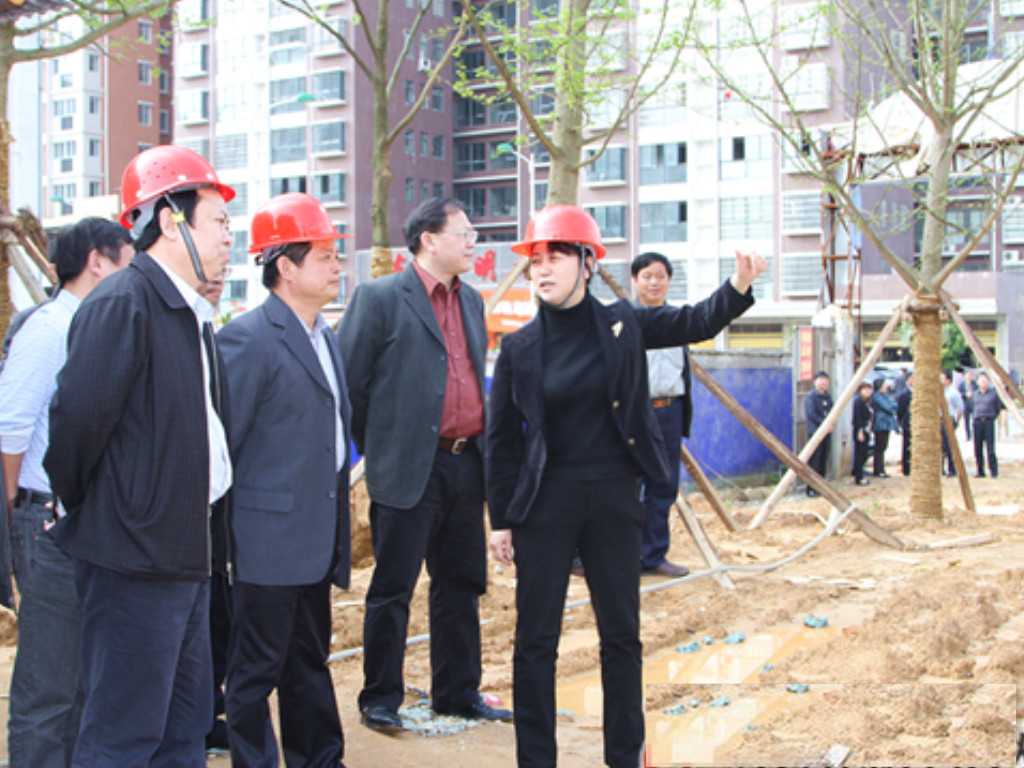 永州市委副书记,市长魏旋君调研1511工程建设