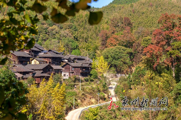 2019年11月14日,湖南永州市东安县川岩乡上界头村乐子冲古寨进入最佳