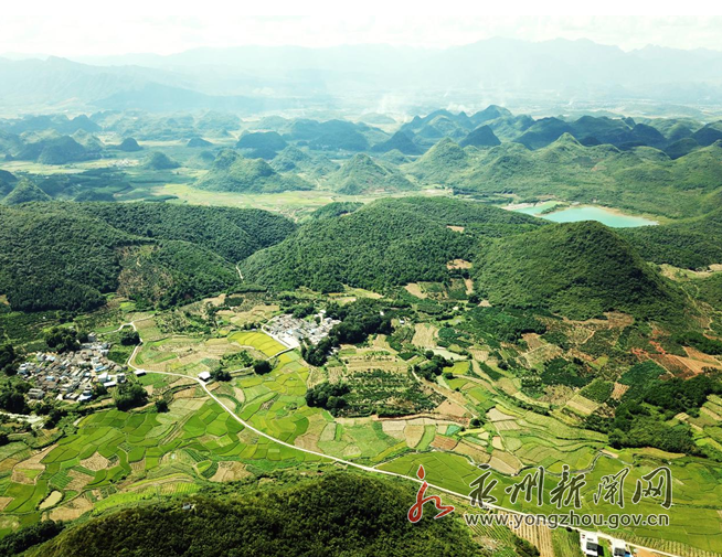 回龙圩:小村"橘"变 甜蜜中的脱贫路