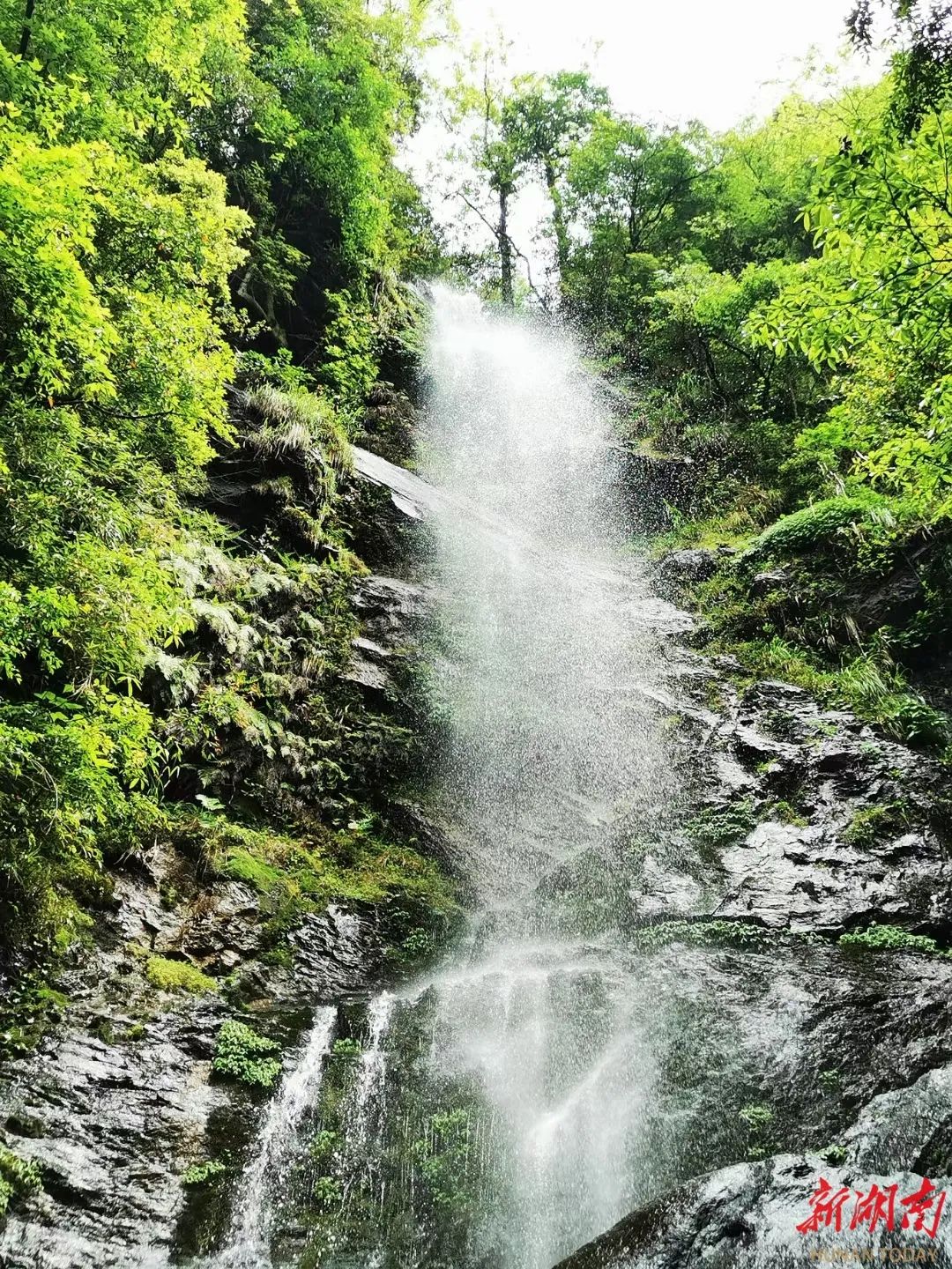 球迷體驗的巔峰