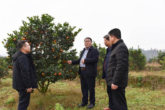 副主任张福生,管理区住建局主要负责人,凤凰乡乡党委书记罗奎参加调研