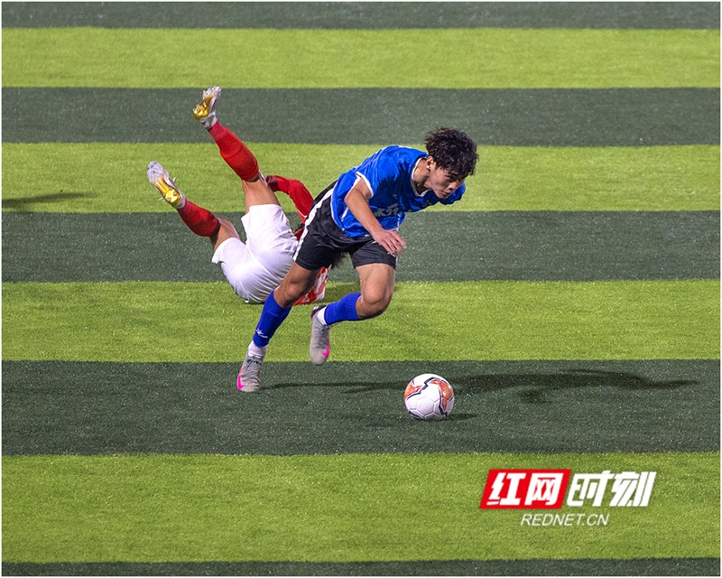 图片8.png 图片8.png