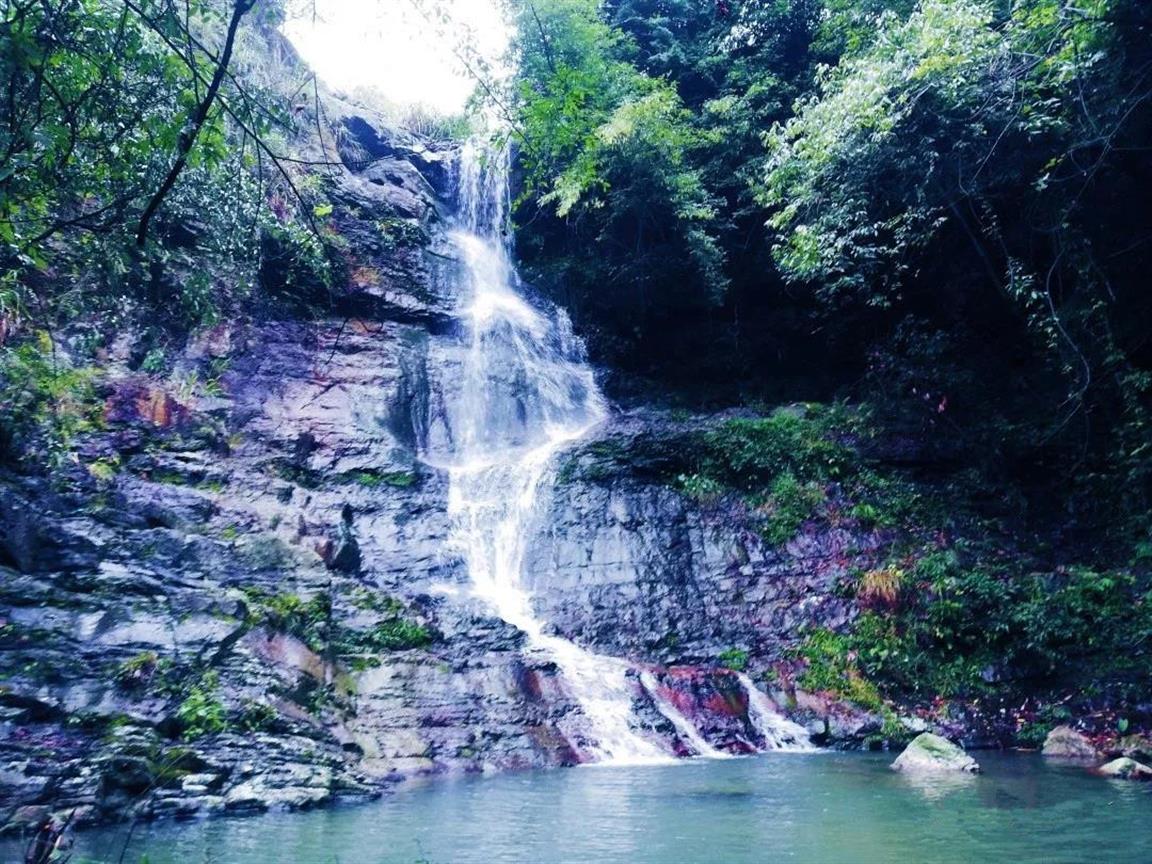 冷水灘迎來首個國家級森林公園_景點介紹_中國永州