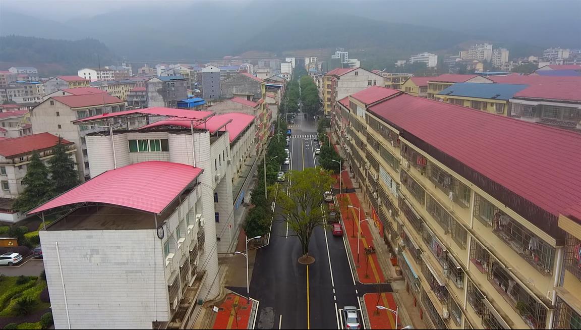 双牌县城百年古樟树成街中心最靓的景