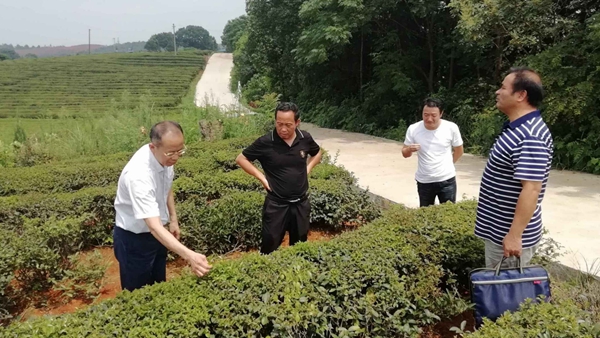 永州市委胡浩图片