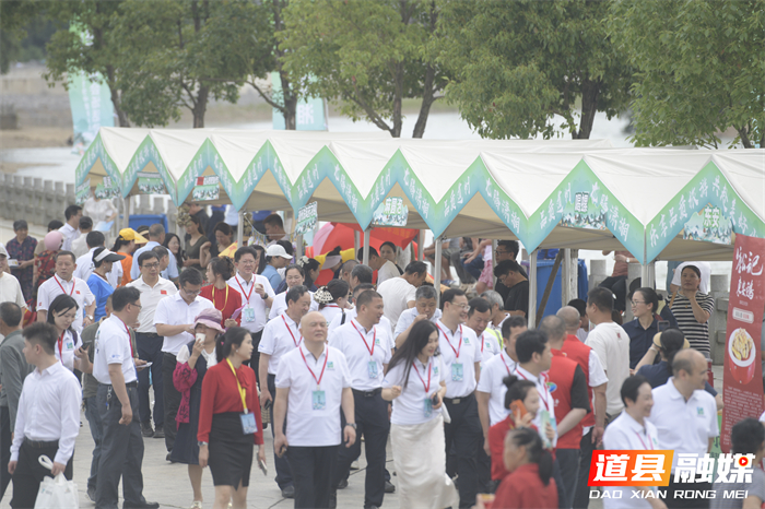 0520畅游永州山水 共赏道州龙船｜2026年“5·19中国旅游日”湖南省分会场活动在道县启幕 (4)_副本.jpg