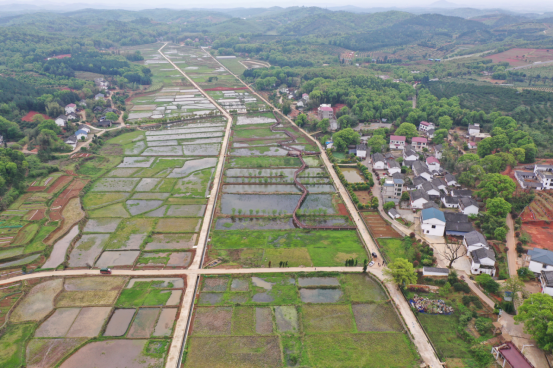 (永州市冷水滩区2019年省级资金高标准农田项目区)