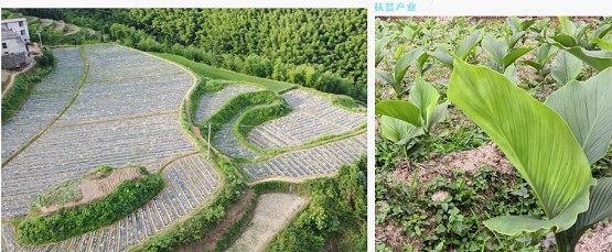 双牌:坚持"三个精准 发展壮大村级集体经济