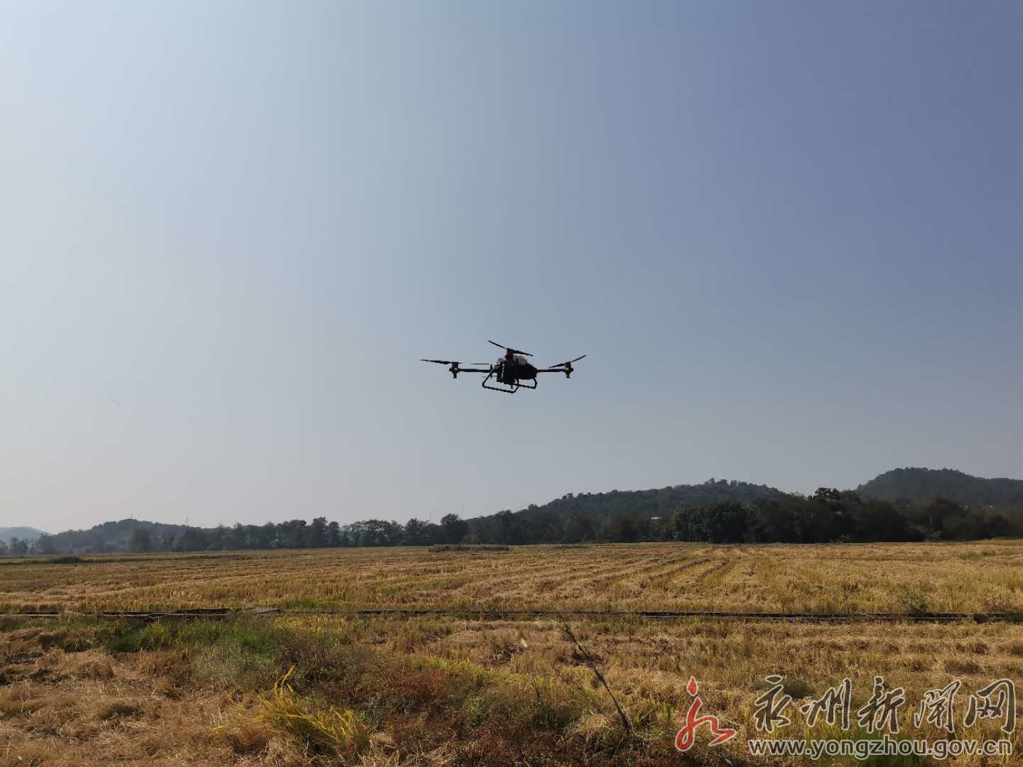 无人机正在喷撒绿肥